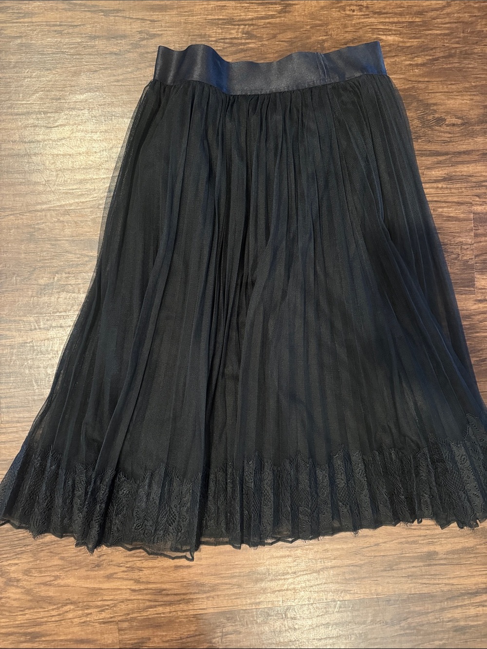 Express Black Pleated Lace-Hem A-Line Tulle Skirt